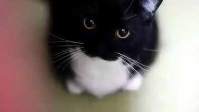 he&eth;&uml;