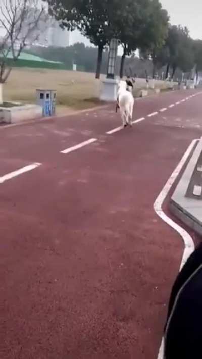 Zooming!