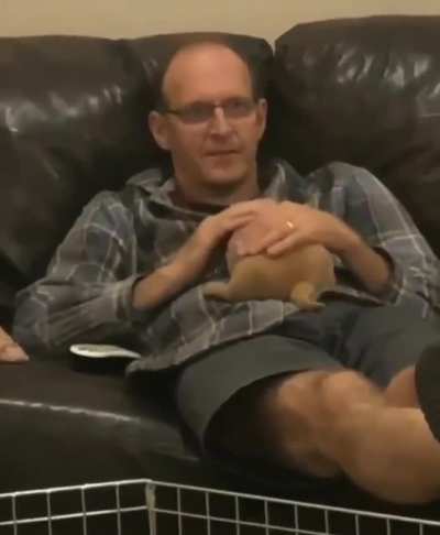 "We are absolutely not getting a puppy."
