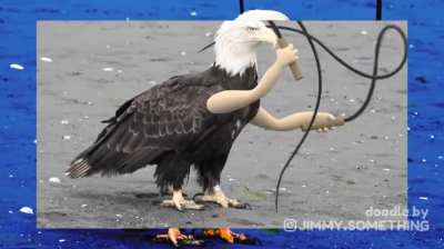 America, FUCK YEAH!