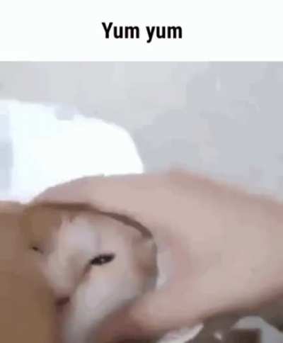 52690