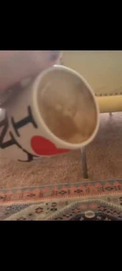 R.i.p laptop