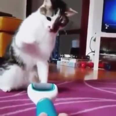 To attack