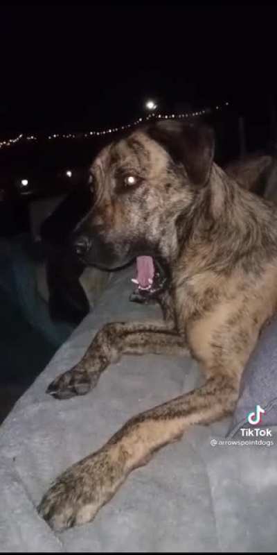 He&rsquo;s shocked