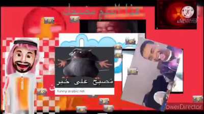 هذا الفيديو مضحك