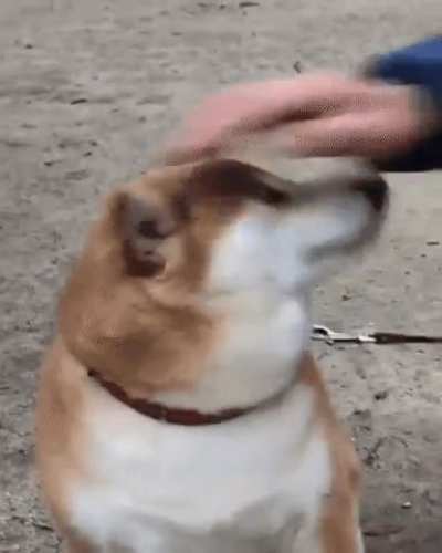 :)