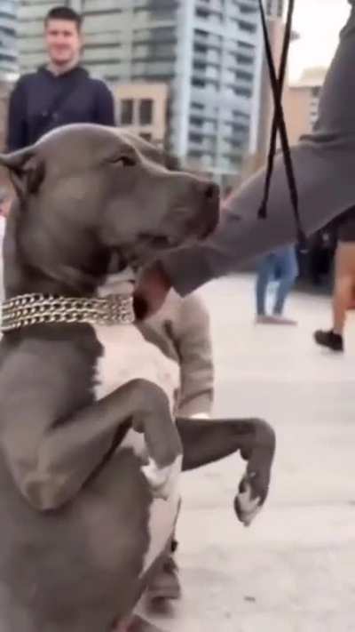 &lrm;