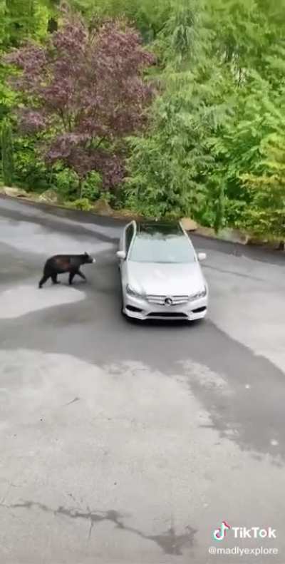 Lock your car