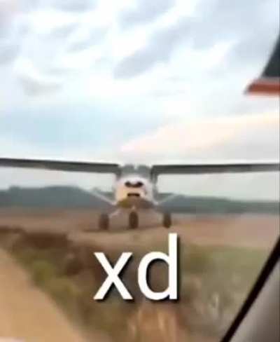 xd