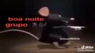 Noite seus tcholas