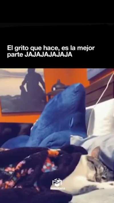 JAJAJAJA