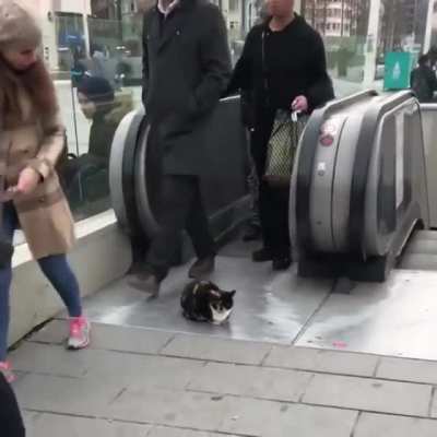 Zero f*cks given