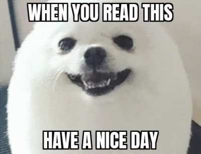 Have a nice day ;)