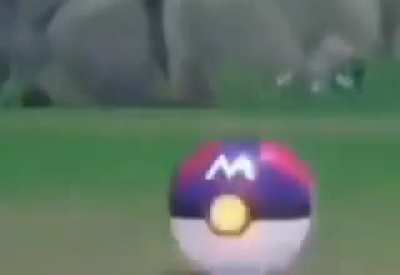 Bidoof