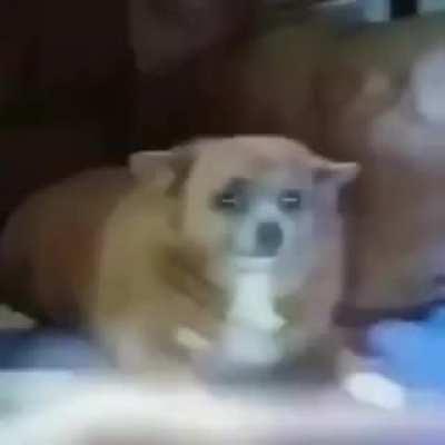 Blursed_