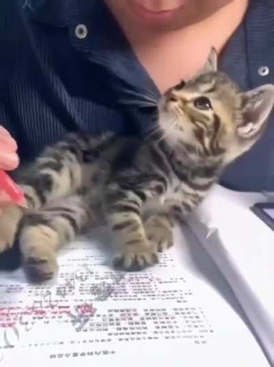 Homework Assistant