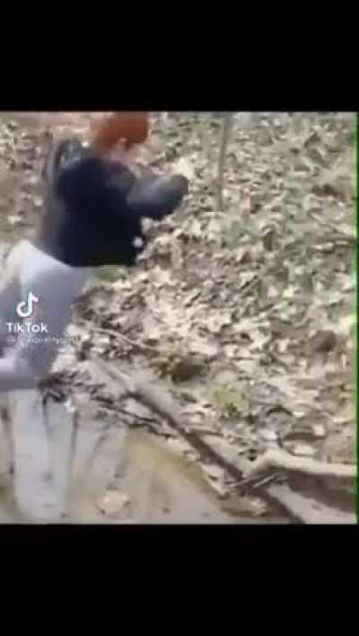 Mud fcker