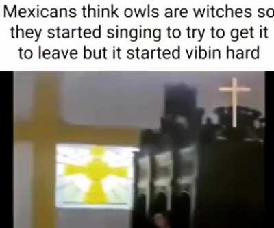 Chad Owl