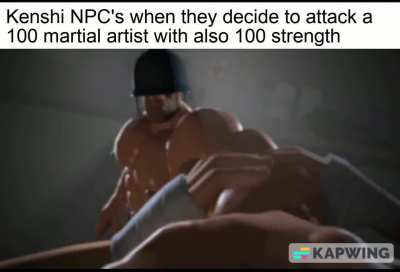 Kenshi martial arts meme