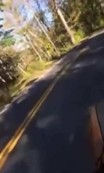 Skateboarding on a dead car 🤫🤫
