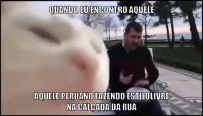 manda a braba manuel 😎😎😎🤙👌🎶🎵 (ali&aacute;s toma aqui meus cinquenta centavos)