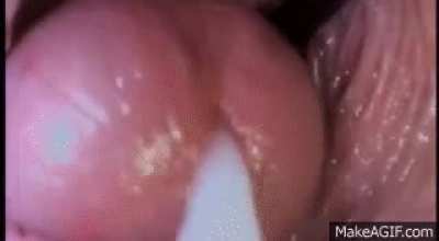 My favorite creampie gif. Never gets old.