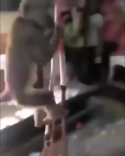 he use stilt..... too powerful