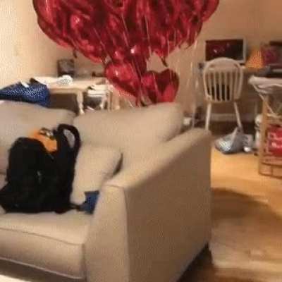 Happy Valentines Day!!