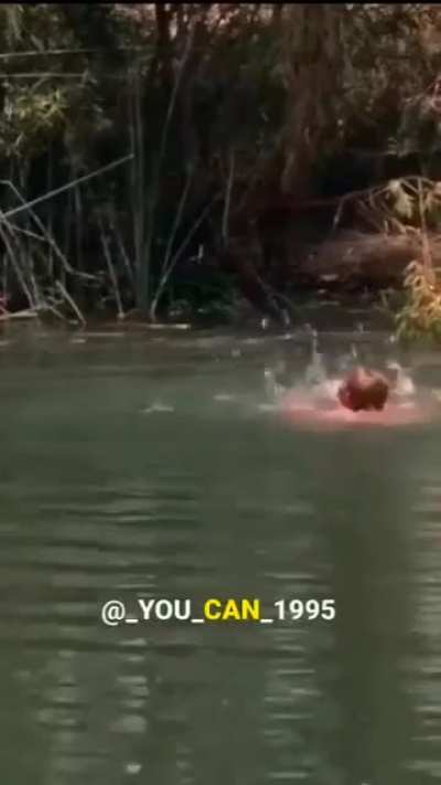 You can lead The Duke to water&hellip;