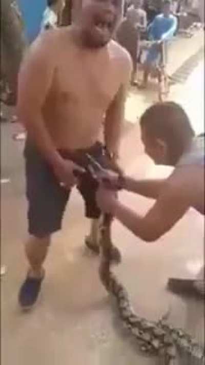 🐍🏳️&zwj;🌈