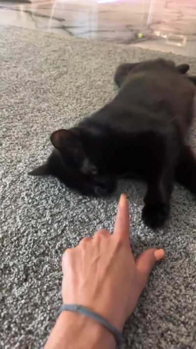 Found a subreddit lol. Kylo Ren appreciates it so he can show off