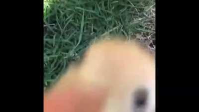 POV: you just healed a demoman