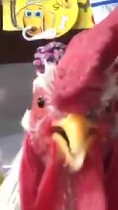 '-'