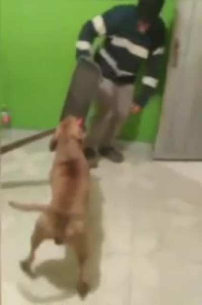 Dark souls ir&aacute; ter live action e essas cena absurda foi vazada da s&eacute;rie!!!!