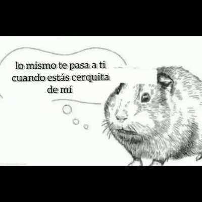 Poetico