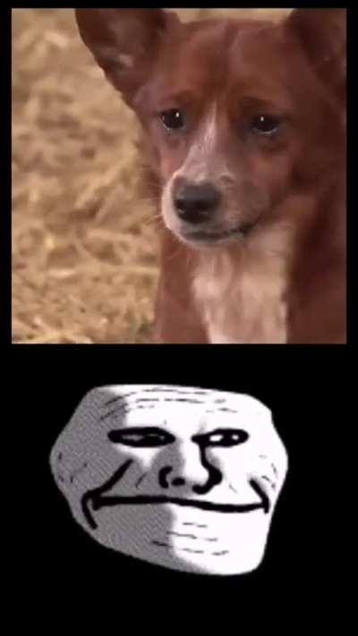 :D