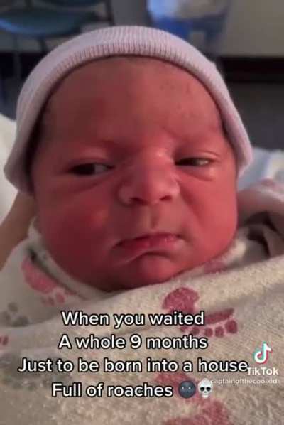 has mastered the look of disgust