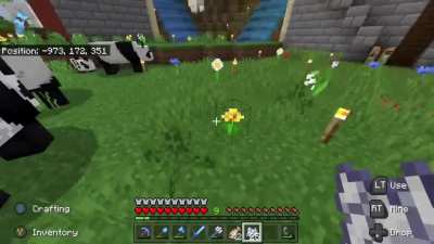 Panda&rsquo;s really are something - this happened on our realms server