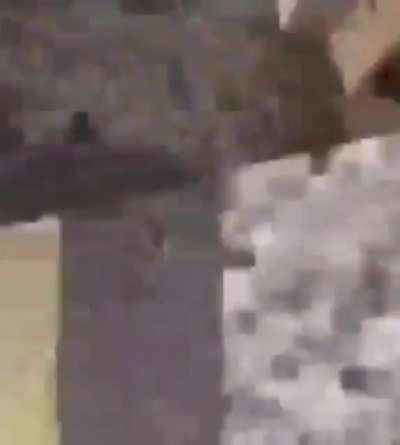 Quality shitpost