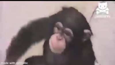 Banaaannaaaaaaa