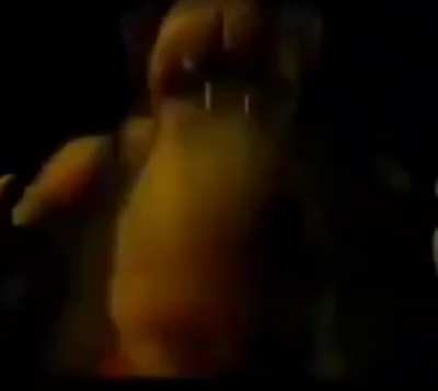a penis