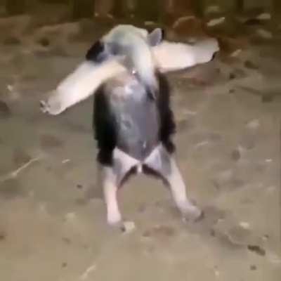 :0