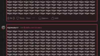 Holy shit, the dedication to be racist is incredible, even if he copy pasted all of that
