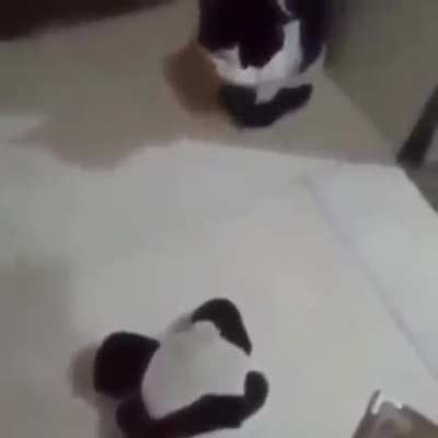 deixa o cara po