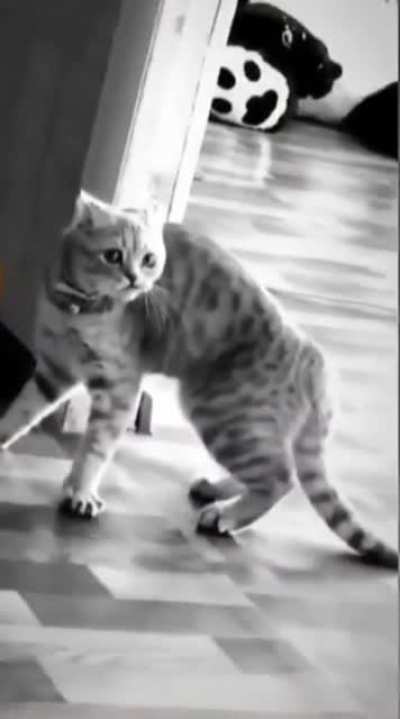 Something he just seen..