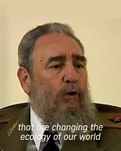 Fidel Castro on what Capitalism has resolved