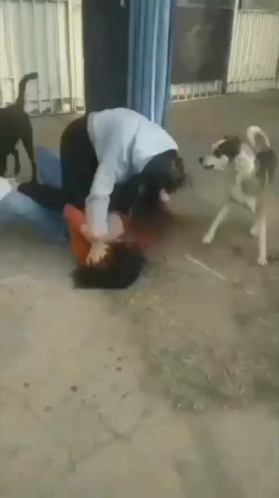 Strays