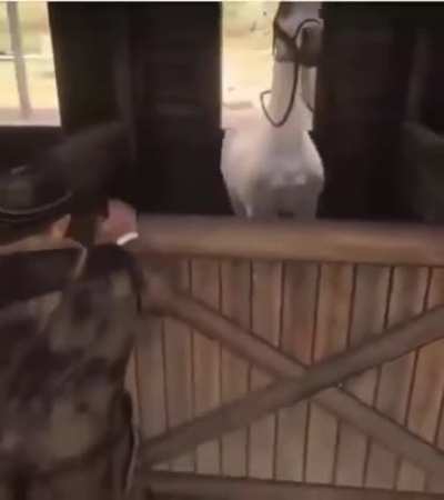 Classic RDR2