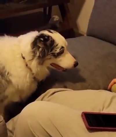Very patient boy.