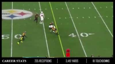 MIAMI DOLPHINS: DeVante Parker